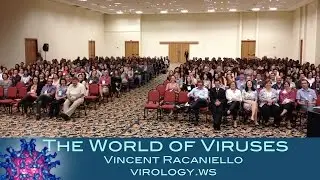 The World of Viruses