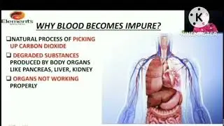 Elements Multi Gard Blood Purifier - Dr Anjitha Madam (Malayalam)