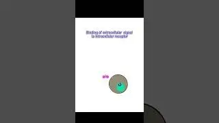 Intracellular receptor #shorts