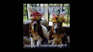 Easter Wishes 2022