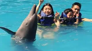 Exotic Moments at Bali Exotic Marine Park | Official Product Trailer