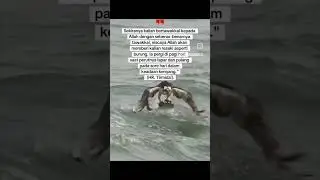 #shortvideo #shorts #viral #video #ceramah #quotes #selfreminder