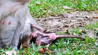 Come on, mom...Help me !!