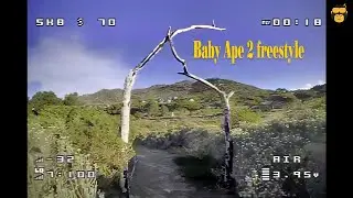 Darwin FPV Baby Ape 2 Freestyle