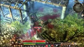 Grim Dawn Gameplay (PC HD)