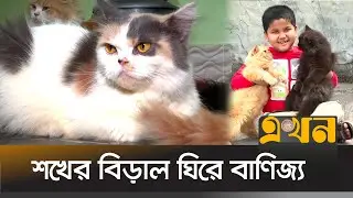 বগুড়ায় আছে প্রায় সাড়ে ৪ কোটি টাকার বিড়াল | Bogura News | Cat | Ekhon TV