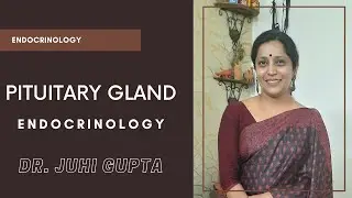 Pituitary Gland | Endocrinology | Dr. Juhi Gupta