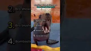 Ranking Top 5 Funniest Sea Lion Moments.😂