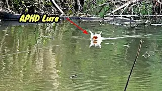 Softfrog Handmade Aan Petak HD Langsung Amis || APHD Lure