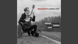 Imaginary Landscapes