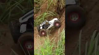 Rc Cars 4x4 Offroad Comparison #wltoys #rccars #4x4 #vs #offroad