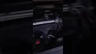 engine WF09FKR (11J813)-BKD