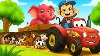 Monkey Funny | Cute Baby Monkey Pipi Lifts Heavy Tractor Wheel