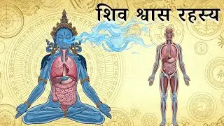 Manifest Your Deepest Desires in 48 Hours: The 111 Breath Ancient Secret