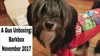 Видео распаковки Гаса &mdash; ноябрь 2017 г. BarkBox