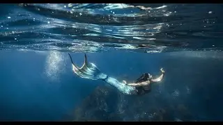 Discover a magical world beneath the surface in Aotearoa, New Zealand