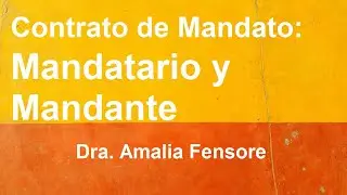 Qué es un Contrato de Mandato, Partes, Mandatario, Mandante, obligaciones, forma, extinción