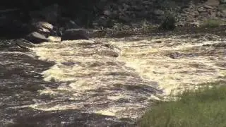 Sturgeon Habitat Restoration