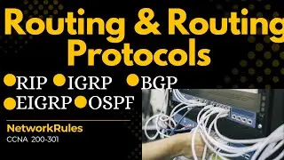 What is Routing and Types of Routing Protocols.