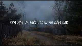 S.T.A.L.K.E.R ну что разбавили обстоновочку!)