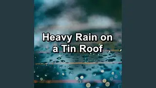 Soft Rain For Relaxing Times To Sleep with for 8 Hours