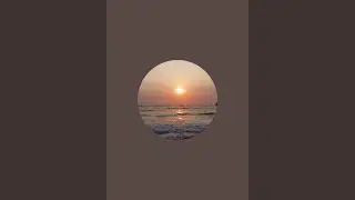 Explorer Animal  is live colva beach ⛱️ Goa 19/01/2026