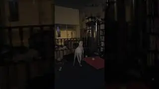 Mazey Gets In Tune With Her Wolf Instincts Again
