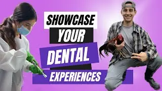 How To Ace the AADSAS Experience Section