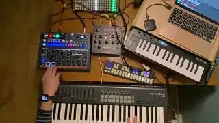 MODULES OF THE SPACESHIP: Waldorf Streichfett - I