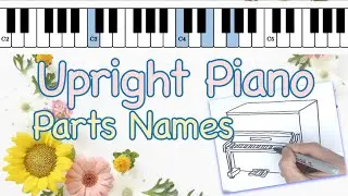 Upright Piano Parts Names &mdash; and Their Functions