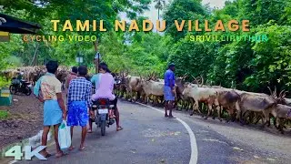 Cycling Through Srivilliputhur Village 🚴&zwj;♂️ | Tamil Nadu Rural Life | 4K Scenic Village Ride