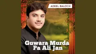 Guwara Murda Pa Ali Jan