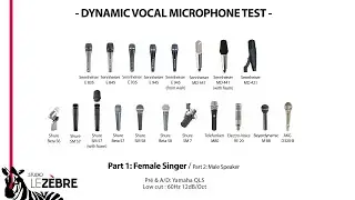 DYNAMIC VOCAL MICROPHONE TEST by Studio Le Zèbre (Sennheiser, Shure, Telefunken...)