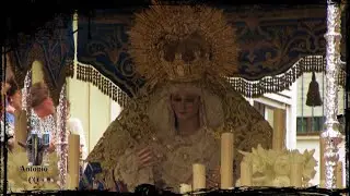 🟣 PIEDAD Y ESTRELLA. JAÉN  - ANTONIO CQ 2MXXIV