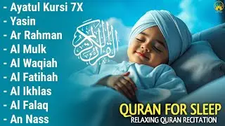 Uyqu uchun Qur'on | Dam olish uchun tinchlantiruvchi oyatlar | Oyat Kursiy, Yasin, Arrahmon Ala Aqel