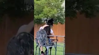 Rooster attacks human