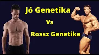 Mennyit számit a genetika? (Izomépités, erősödés)