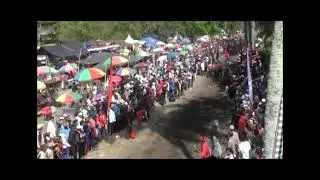 MAKEPUNG-BUFFALO RACING FROM BALI