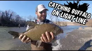 Catching Buffalo on Light Line (TROUT FISHING)