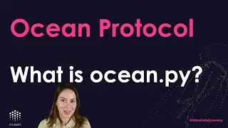 What is ocean.py?