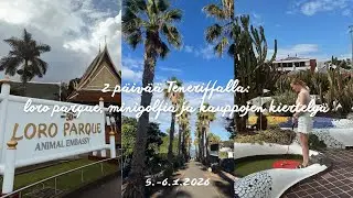 2 päivää Teneriffalla 🌴 loro parque, minigolffaamassa & ostoksia