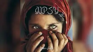 30+★ Gipsy® Vol 2 l 50 Cent x Scott Storch Sample Pack 2024