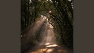 Inward Journey
