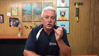 Differences between Service, Therapy, and Emotional Support Dogs | Trainer Tip of the Week