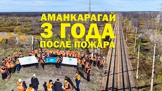 988: Аманкарагай! 3 года после пожара! Как наши железнодорожники высаживали саженцы! Может не там ?