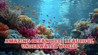 AMAZING OCEAN LIFE | BEAUTIFUL UNDERWATER WORLD | WITH RELAXING MUSIC
