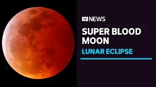 There's a supermoon and a lunar eclipse tonight | ABC News