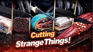 Satisfying Alien Food Cutting ASMR | Oddly Satisfying Meat Slicing Compilation 2026 Riajul Ai king