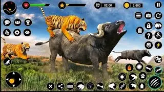 Tiger game  wild animals game simulator Android gameplay