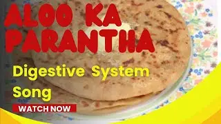 Digestive System Song